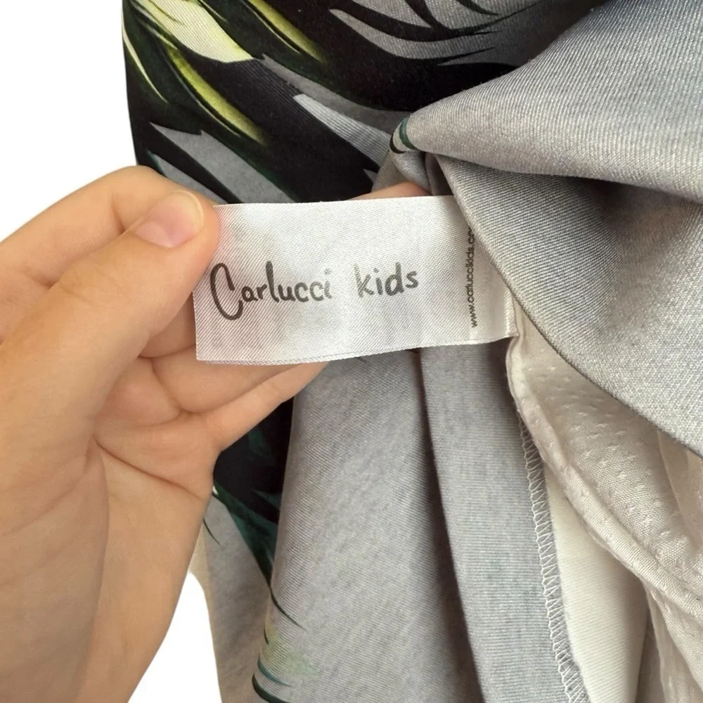 Carlucci Kids Sleeveless Feather Print Dress Girl Size 3T Gray Blue Formal Lined